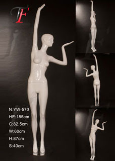 女性模特