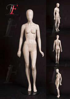 女性模特