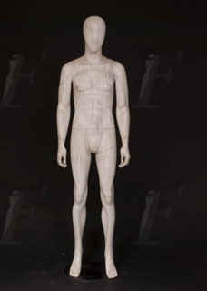 男性模特
