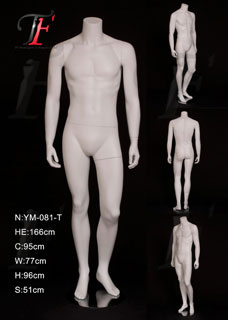 男性模特