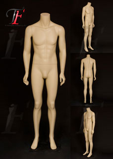 男性模特