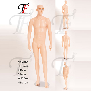 男性模特儿 男性模特儿