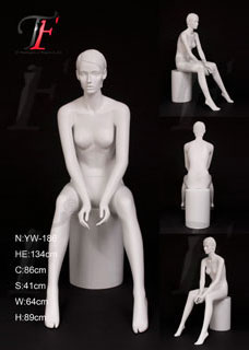 女性模特