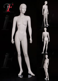 女性模特