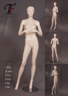 女性模特